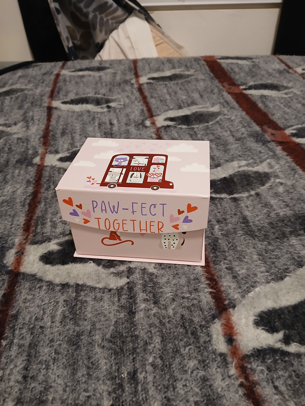 Pink 'Paw-fect Together' Decorative Storage Box
